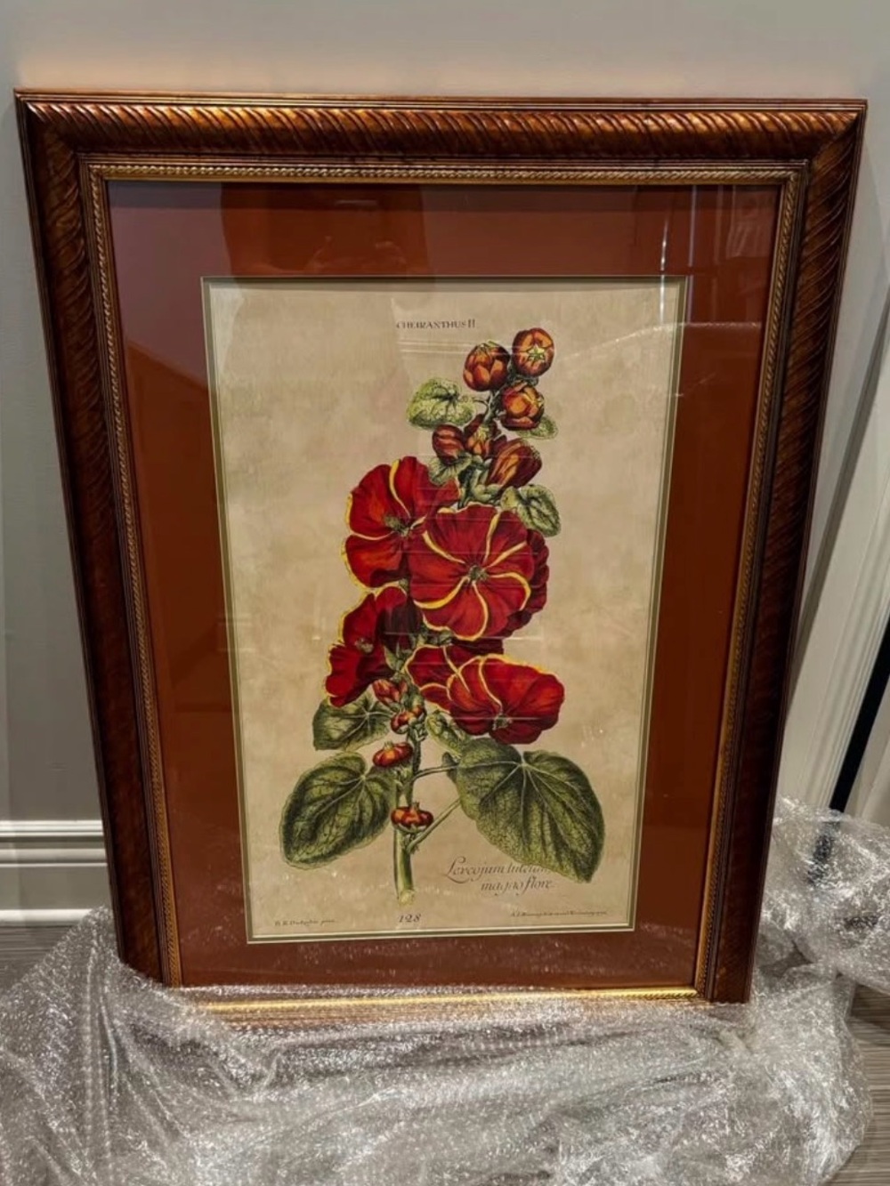 Encased Framed Red Floral Botanical Wall Art (protected in glass)